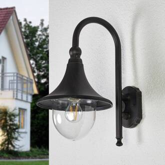 buitenwandlamp Daphne, antiekzwart, metaal, E27 antiekzwart, helder