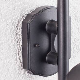 buitenwandlamp Daphne, zwart, metaal, E27 zwart, helder