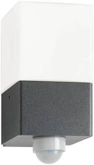 Buitenwandlamp Linus, grafiet, sensor, roestvrij staal, glas, E27 grafiet, opaal