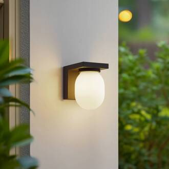 buitenwandlamp Ovaali, glas, donkergrijs, IP65 grafietgrijs (RAL 840-M), wit