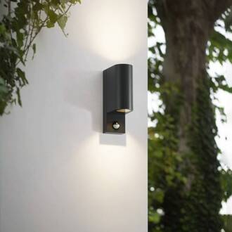 buitenwandlamp Palina, sensor, IP44, antraciet grafietgrijs, helder