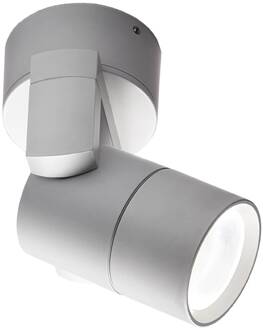 Buitenwandspot Skiros, IP55, grijs lichtgrijs