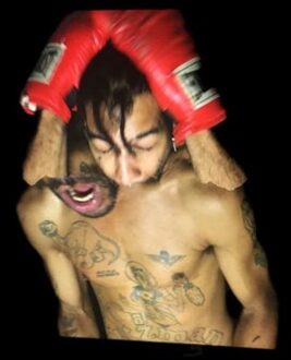 Bulli - Velvet Negroni