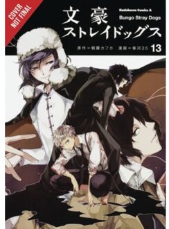 Bungo Stray Dogs, Vol. 13