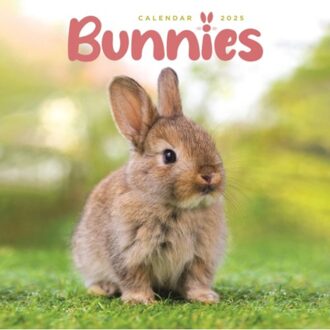 Bunnies Square Mini Calendar 2025 - Calendars, Carousel