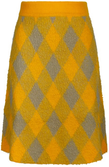 Burberry Geruite Wollen Rok Burberry , Yellow , Dames - M