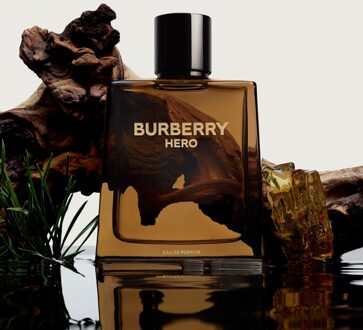 Burberry Hero Eau de Parfum voor Heren 50 ml