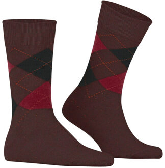 Burlington 21091 Bordeaux - 40-46