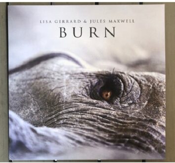 Burn