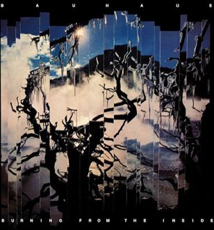 Burning From The Inside (Coloured Vinyl)