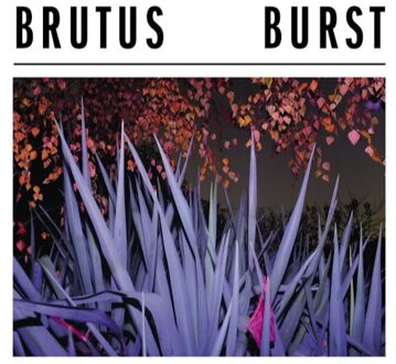 Burst (LP)
