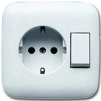 Busch Jaeger Stopcontact 4310/6EUJ-214