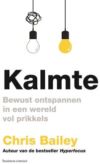 Business Contact Kalmte - Chris Bailey - ebook