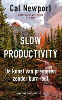 Business Contact Slow productivity - Cal Newport - ebook