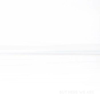 But Here We Are - Foo Fighters