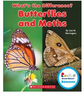 Butterflies and Moths