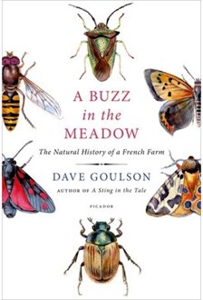Buzz in the Meadow - Dave Goulson