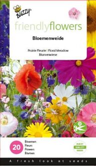 Buzzy Buzzy® Friendly Flowers Mix Zomerbloemen15m²