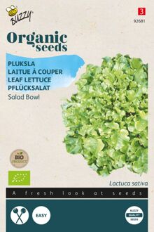 Buzzy Buzzy® Organic Pluksla Green Salad Bowl (BIO)