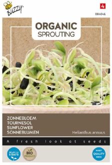 Buzzy Buzzy® Organic Sprouting - Zonnebloem - 30 gram