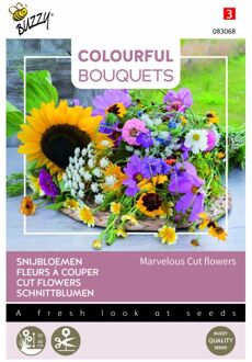 Buzzy Colourful Bouquets, Marvelous Cutflowers (Snijbloemenmengsel)