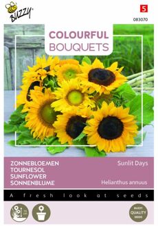 Buzzy Colourful Bouquets, Sunlit Days (Zonnebloemen halfhoog)