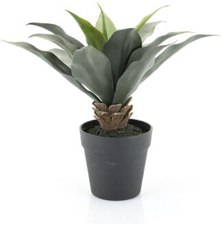 BY-Boo Kunstplant 'Agave' 35cm hoog - 35 cm