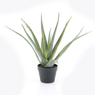 BY-Boo Kunstplant 'Aloë Vera' 58cm hoog - 58 cm