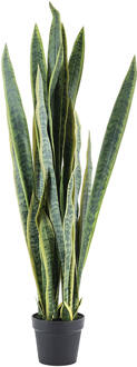 BY-Boo Kunstplant 'Sansevieria' 133cm hoog - 133 cm