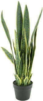 BY-Boo Kunstplant 'Sansevieria' 78cm hoog - 78 cm