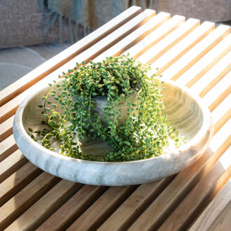 BY-Boo Schaal 'Club' Marmer, 38cm Beige - 38 cm