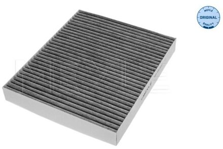 BYD Interieurfilter 6123200019