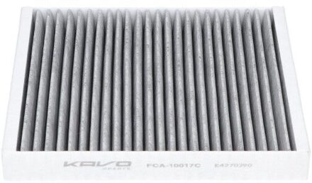 BYD Interieurfilter FCA10017C