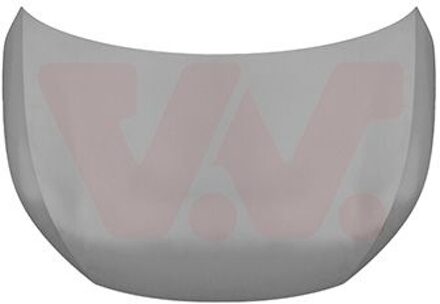 BYD Motorkap Voor 8902660