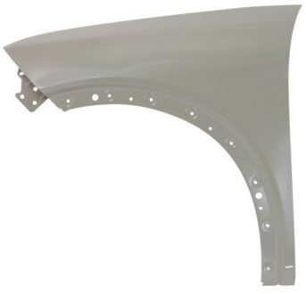 BYD Spatbord 6504047901311P