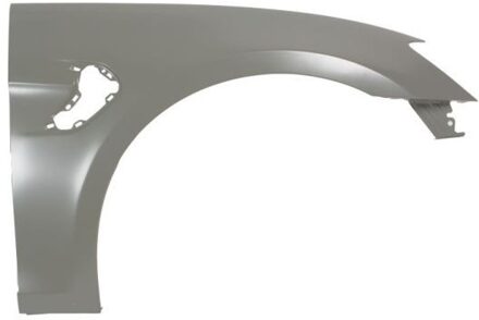 BYD Spatbord 6504047903312P