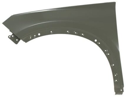 BYD Spatbord 6504047904311P