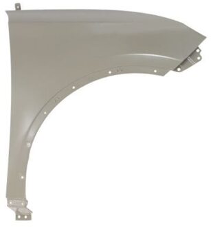 BYD Spatbord 6504047906312P