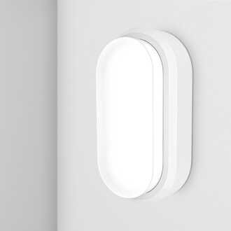 C-Series - LED Plafondlamp wit ovaal - Wandlamp - Scheepslamp - IP54 - 12W 1160lm - 6500K Daglicht wit - voor binnen en buiten