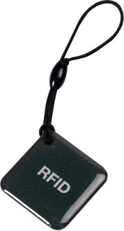 C-smart 3130 Rfid Tags