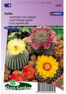 Cactus Speciaal Mengsel
