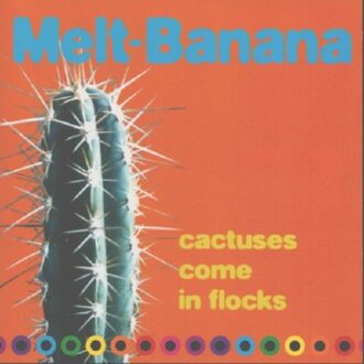 Cactuses Come In Flocks