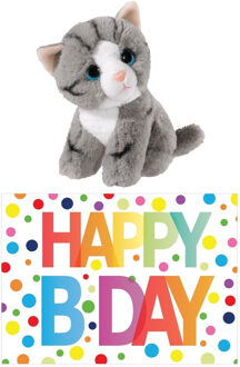 Cadeau setje pluche grijze kat/poes knuffel 14 cm met Happy Birthday wenskaart - Knuffel huisdieren Grijs