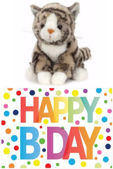 Cadeau setje pluche grijze kat/poes knuffel 16 cm met Happy Birthday wenskaart Grijs