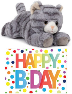 Cadeau setje pluche grijze kat/poes knuffel 25 cm met grote A5 formaat Happy Birthday wenskaart Grijs