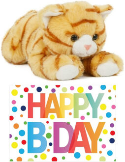 Cadeau setje pluche rood/witte kat/poes knuffel 25 cm met Happy Birthday wenskaart