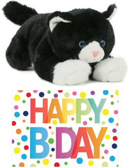 Cadeau setje pluche zwart/witte kat/poes knuffel 25 cm met Happy Birthday wenskaart - Knuffel huisdieren