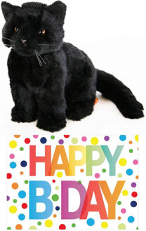 Cadeau setje pluche zwarte kat/poes knuffel 20 cm met Happy Birthday wenskaart