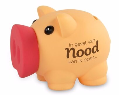 Cadeau spaarpot/Spaarvarken - In geval van nood.. - 10 cm - Kinderen Multi