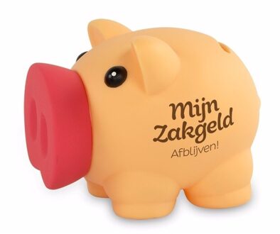 Cadeau spaarpot/Spaarvarken - Mijn zakgeld afblijven - 10 cm - Kinderen